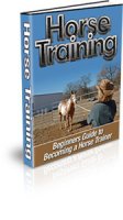 Beginners Guide to Horse Training eBook