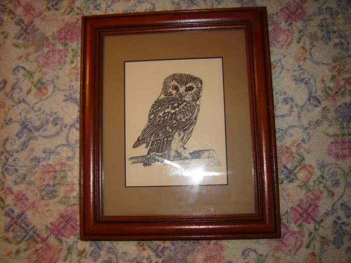 Steve Carter Pen & Ink Print Saw-Whet Owl Framed