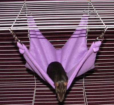 Hammock A- 15 inch Purple Fleece Hammock