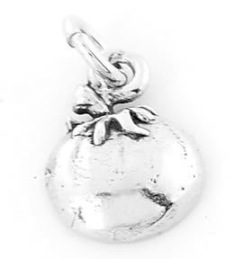 STERLING SILVER FRUIT OF THE SPIRIT-PATIENCE CHARM/PENDANT