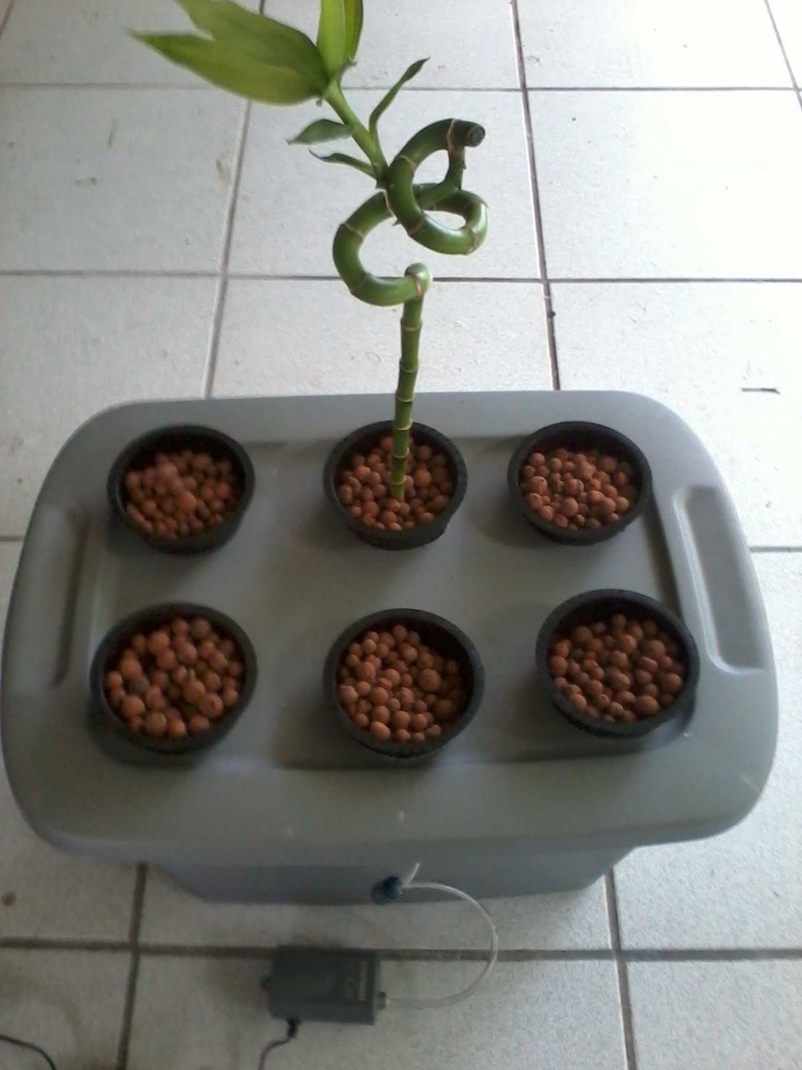 6 site 10gal. DWC Hydroponic Grow System