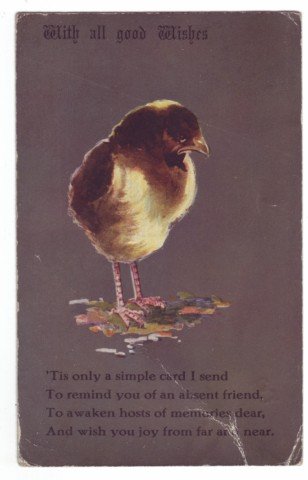 3 X POSTCARDS 2 X BIRTHDAY 1 X CUTE