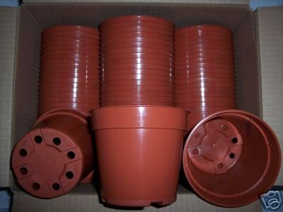 4" terracota standard plastic pot nursery cactus 540 @@