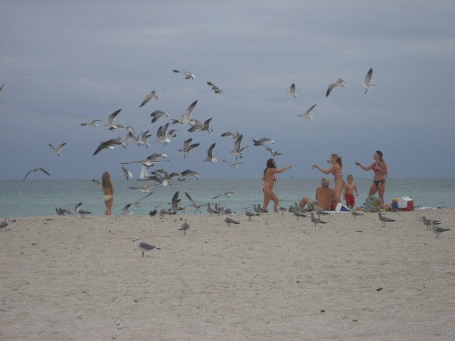 South Beach