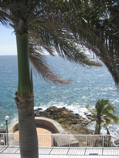 Sea Breeze