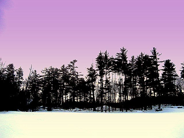 Winter