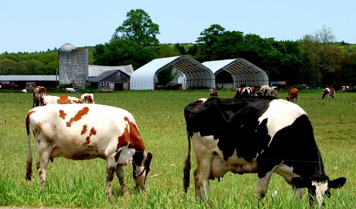 Farm Life