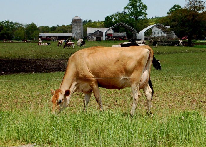 Farm living