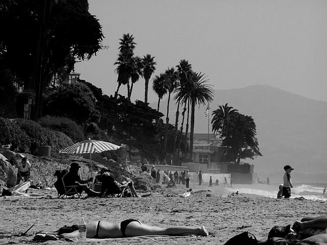 Butterfly Beach - Black and White