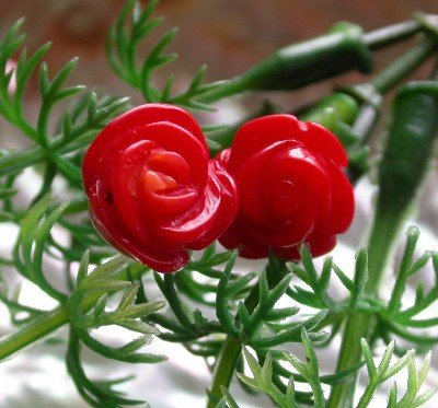 12mm red coral crave rose flower earring
