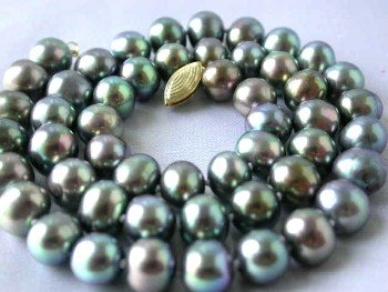 17""grade AA peacock FW pearl necklace