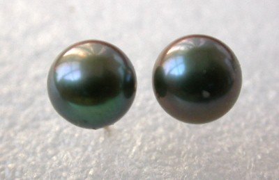 14kgp stud 12mm black shell pearl earring