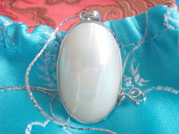 Stunning Sea Shell Pendant with Sterling Silver Necklace
