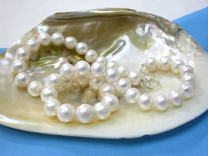 CLASSIC 11MM round AA+ WHITE pearls Necklace silver clasp