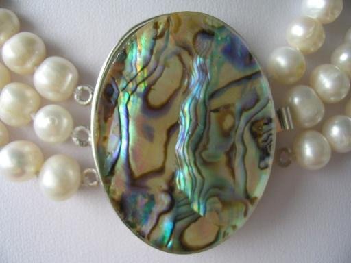 1 pc abalone shell clasp