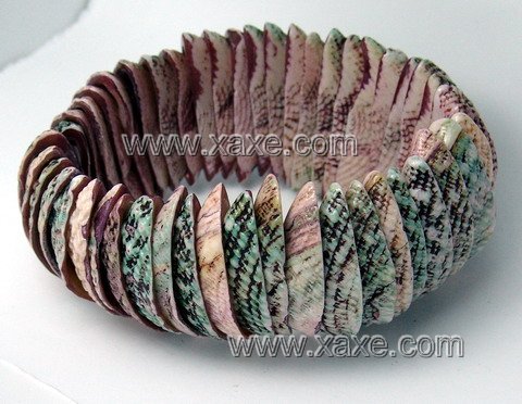 Lovely purple shell bracelet