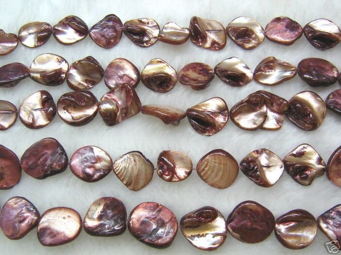 wholesale 10 strands 15mm Shell Beads loose string - brown