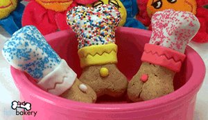 Gourmet Dog Bone Treats & Gifts (FidoBakery Rainbones�)