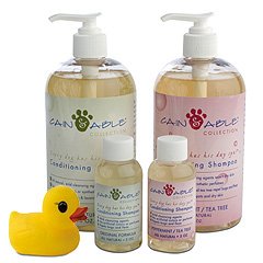 Cain & Able Dog Shampoo (LAVENDAR)