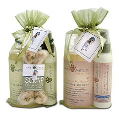 Cain & Able Shampoo & Spritz Gift Set (LAVENDAR)