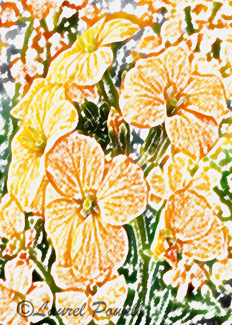 Orange Flowers ACEO