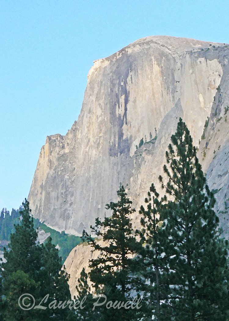 Yosemite ACEO
