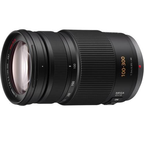 Panasonic HFS100300 Telephoto Lens - LUMIX G VARIO 100-300mm F4-5.6