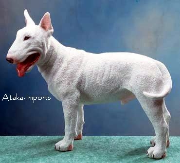 ENGLISH BULL TERRIER DOG FIGURINE-STATUE (5684s)