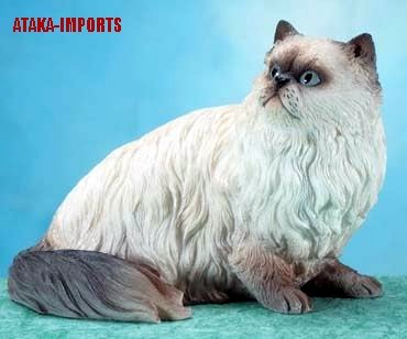 HIMALAYAN PERSIAN CAT FIGURINE (5658s)