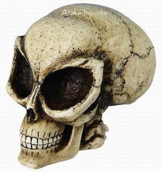 ALIEN SKULL-STAR WARS FIGURINE-STATUE-SKELETONS-UFO-HALLOWEEN (6407)
