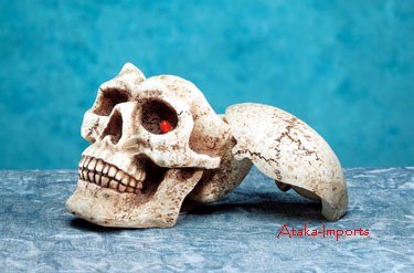 SKULL-SKELETON ASHTRAY W FLASHING LIGHTS & CREEPY SOUND (5168)