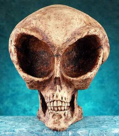 ALIEN SKULL-SKELETONS-NEAT-LIFELIKE HALLOWEEN (4910)