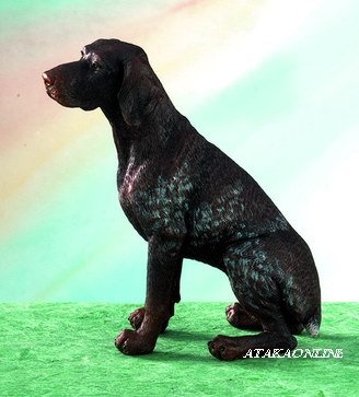 GERMAN SHORTHAIRED POINTER DOG FIGURINE-GSP (5024)