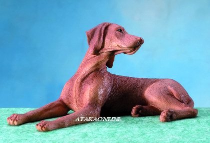 HUNGARIAN VIZSLA DOG FIGURINE (5672)