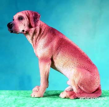 RHODESIAN RIDGEBACK DOG FIGURINE (5674)