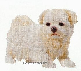 MALTESE PUPPY-DOG FIGURINE CUTE (6624s)