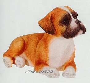 BOXER-PUPPY-DOG FIGURINE CUTE (6631s)