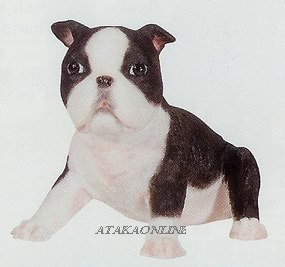 BOSTON TERRIER-PUPPY-DOG FIGURINE CUTE (6633s)