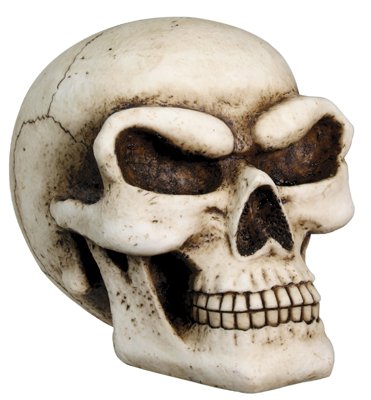 HUMAN SKULL MONEY BANK-THRILLING-BIZARRE-SKELETONS-NEW (7385s)