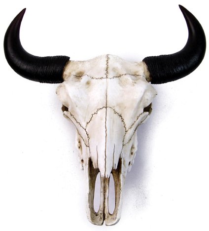 BISON SKULL STATUE-FIGURINE (7055)