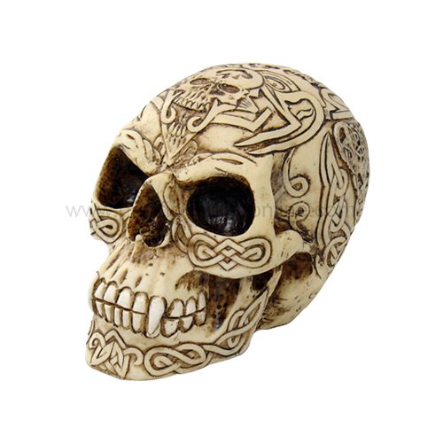 CELTIC HUMAN SKULL STATUE-FIGURINE-SKELETONS-HALLOWEEN (6405)