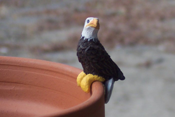 SOLD OUT -- AMERICAN BALD EAGLE POT HANGER / ORNAMENT