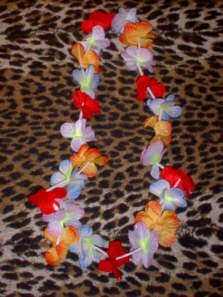 Regular Hawaiian Flower Leis - Tiki Luau !!! (1 Doz)