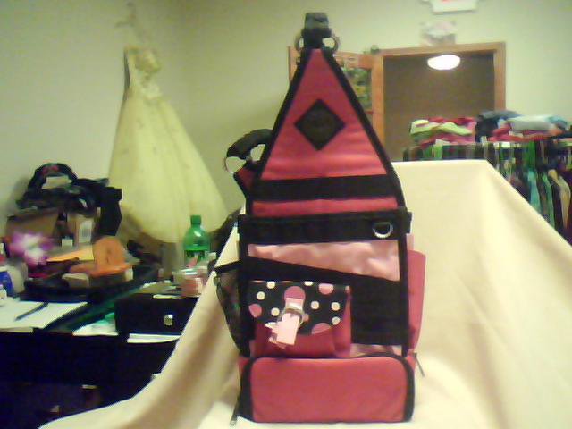 Tote-Ally Cool 2-piece Craft Tote