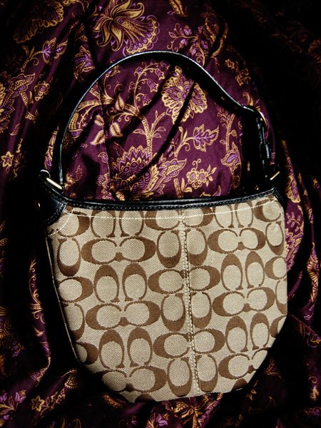 Authentic Coach Handbag - Like New