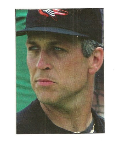 Cal Ripken Hand bonded CARD PLAIN BACK unusual Color