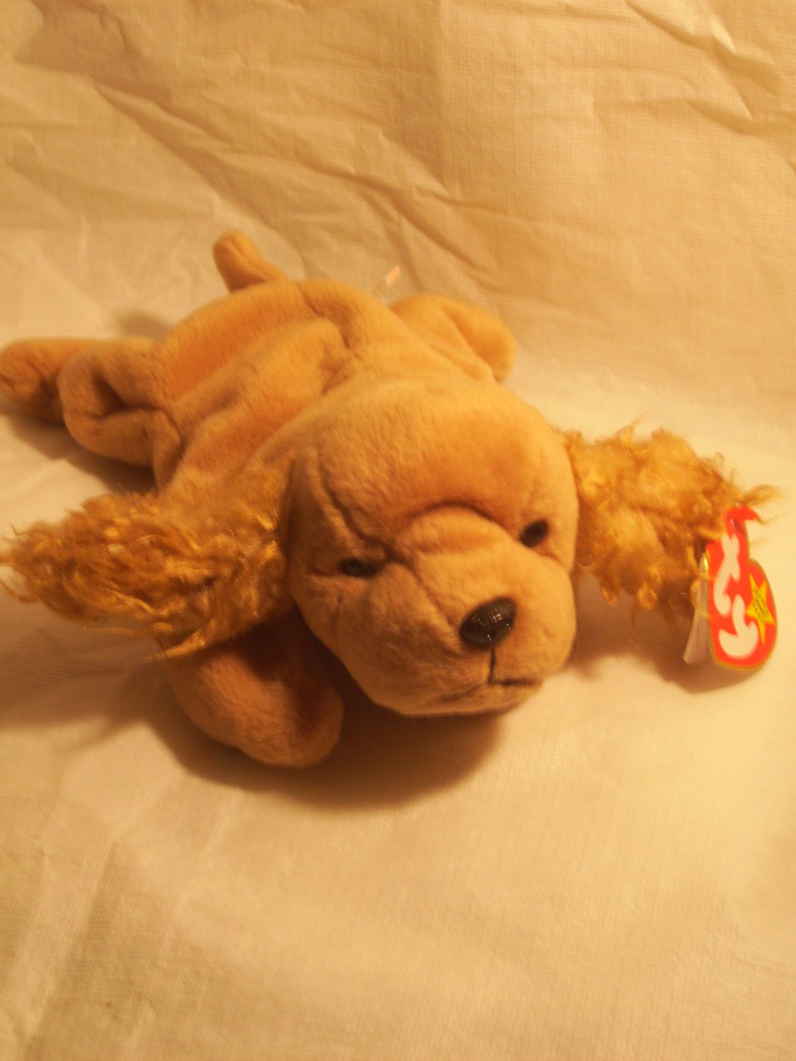 Spunky "the Cocker Spaniel"**RETIRED**Ty beanie baby