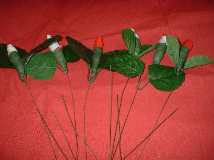 Baby Roses