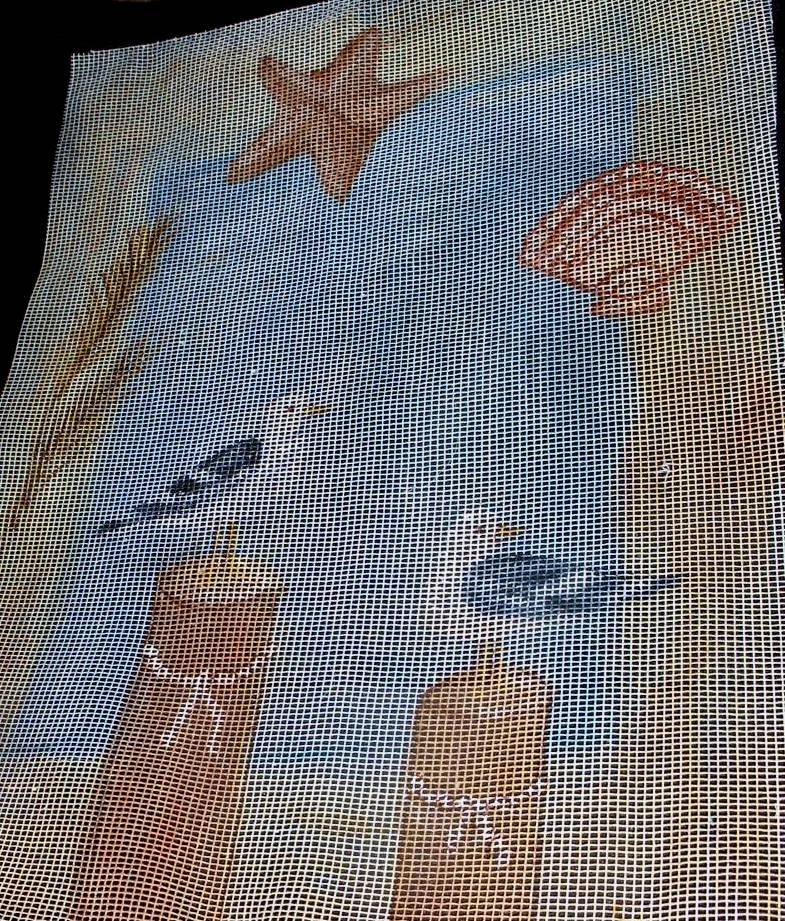 Sea Gulls, Star Fish
