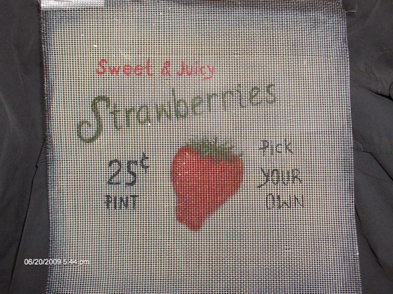 Sweet & Juicy Strawberries